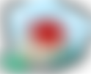 5 Reasons You Should Invest in Granite Countertops