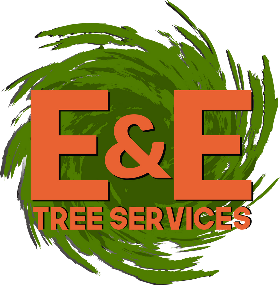 A Tree Fell on My House What Do I Do Now?