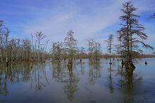 Darlene Spell | Lake Mirror, Photography, UNITED STATES OF AMERICA