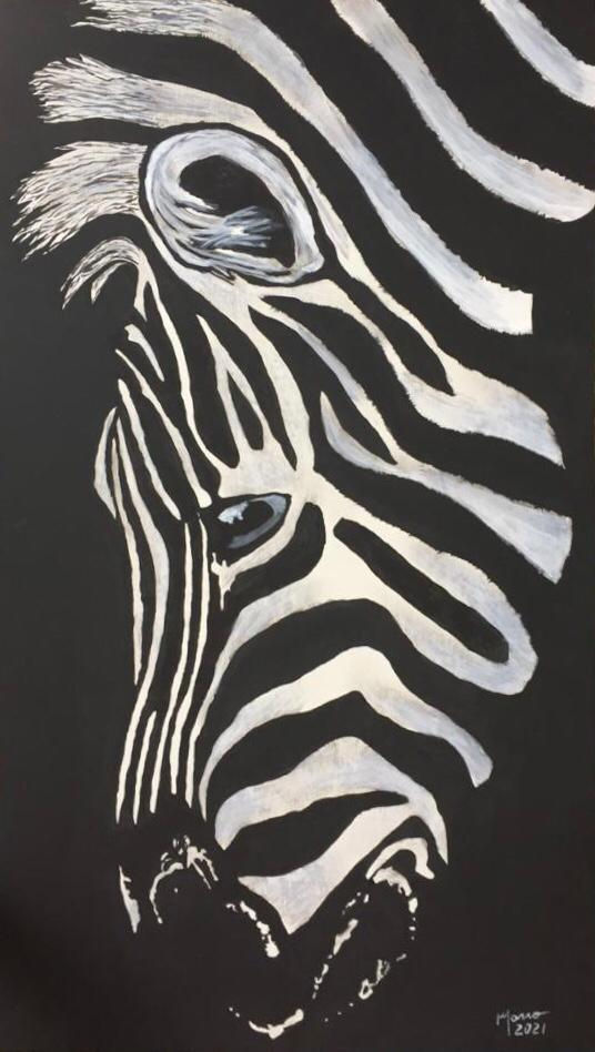 ZEBRA