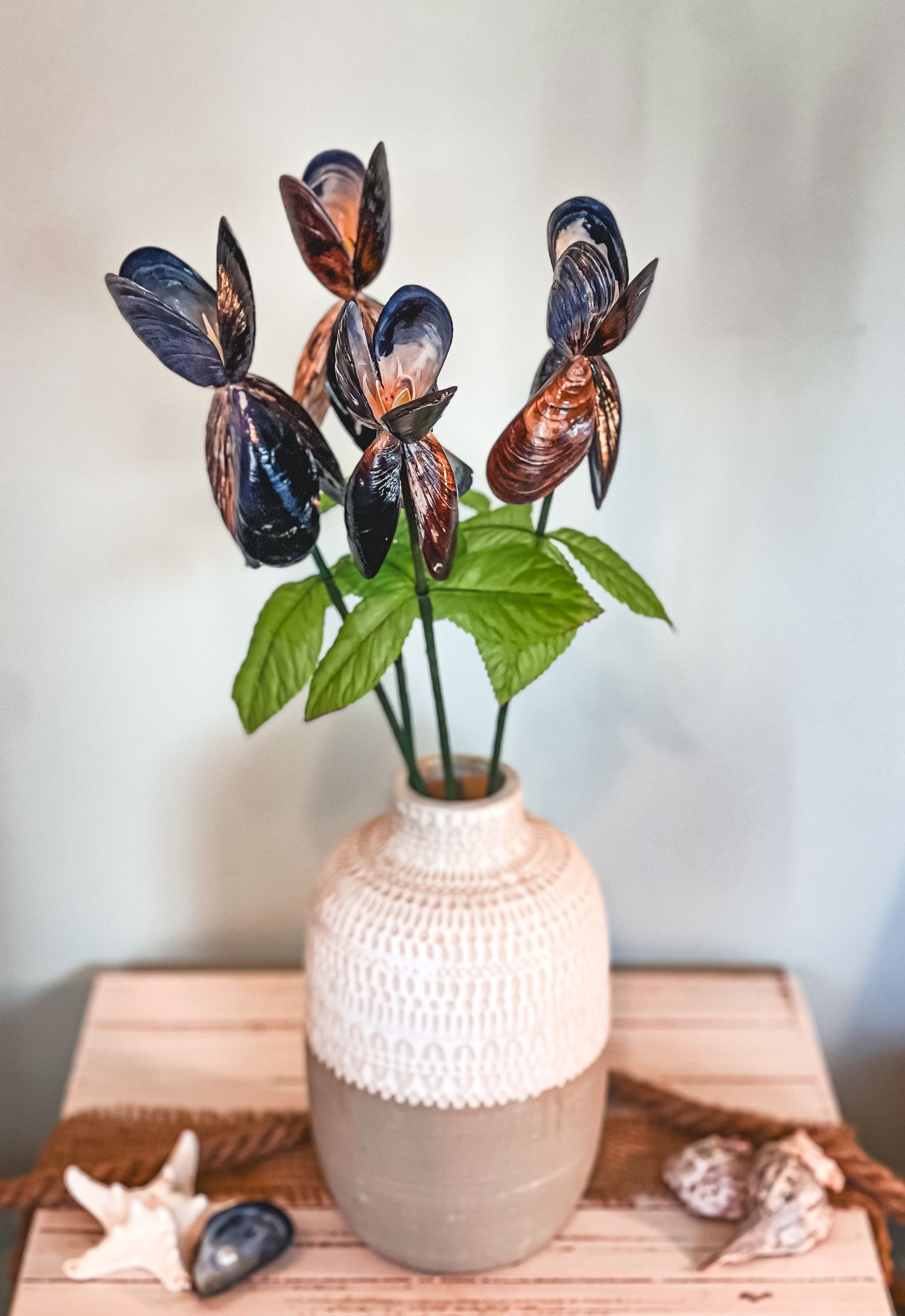 Blue Lipped Iris Seashell Flower
