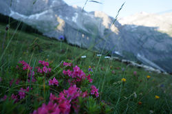 Großwalsertal