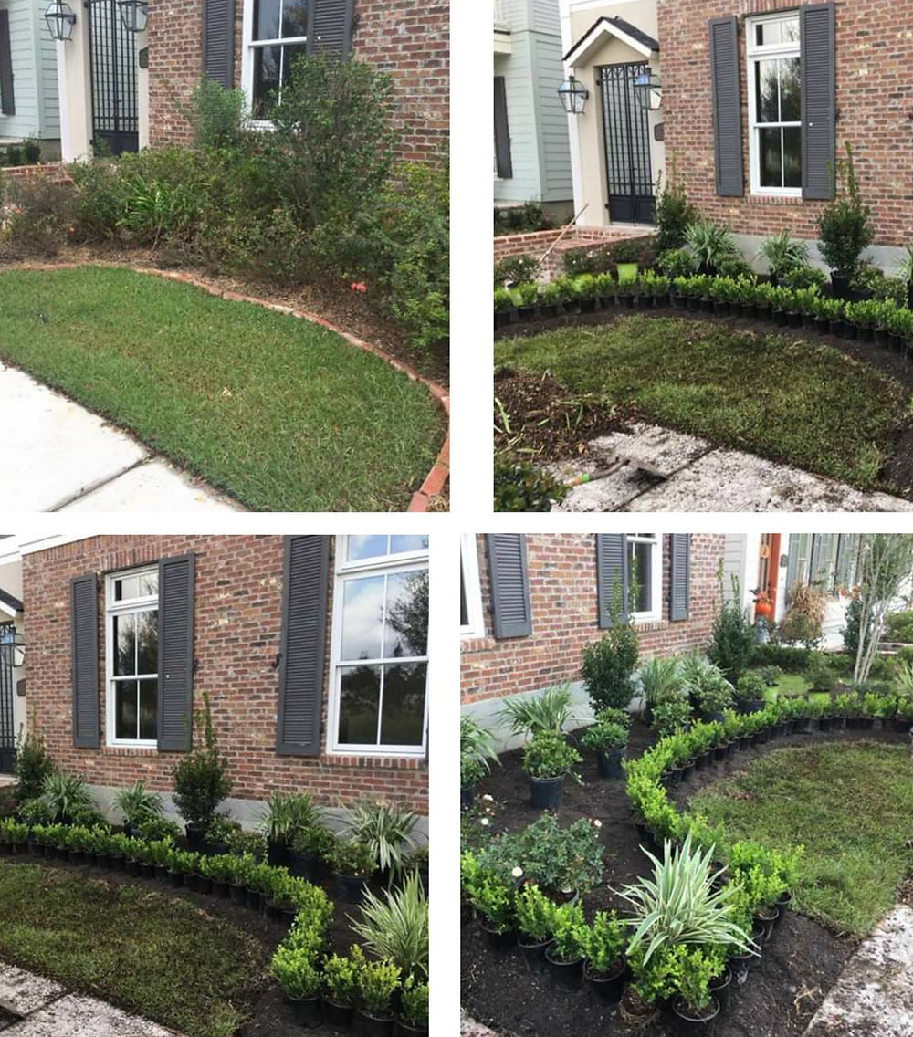 Landscaped yard