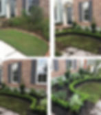 Landscaped yard