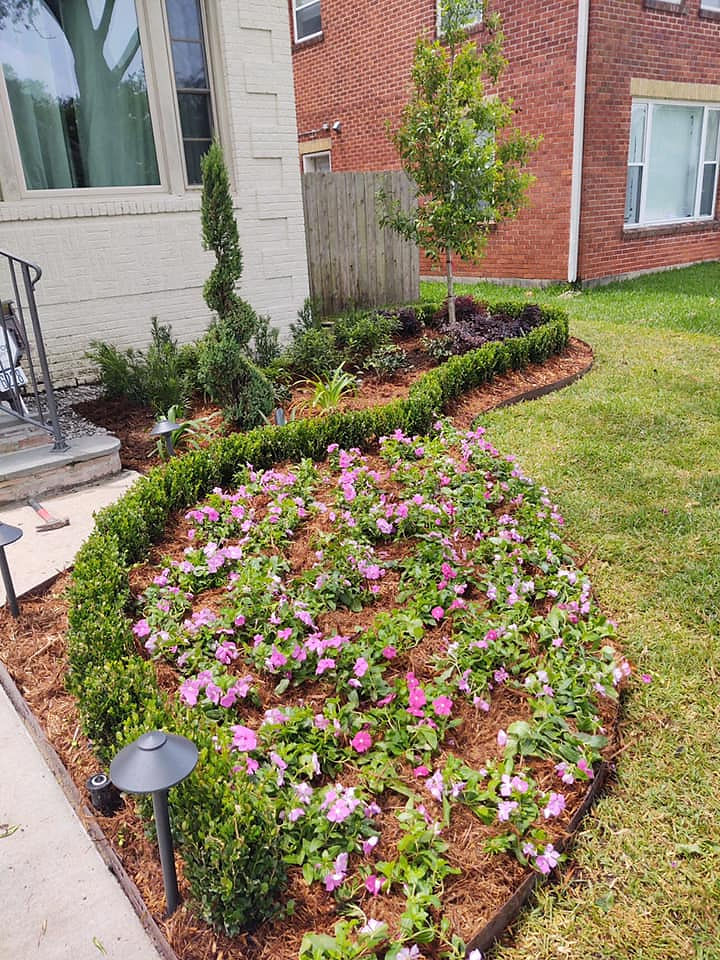 Landscaped yard