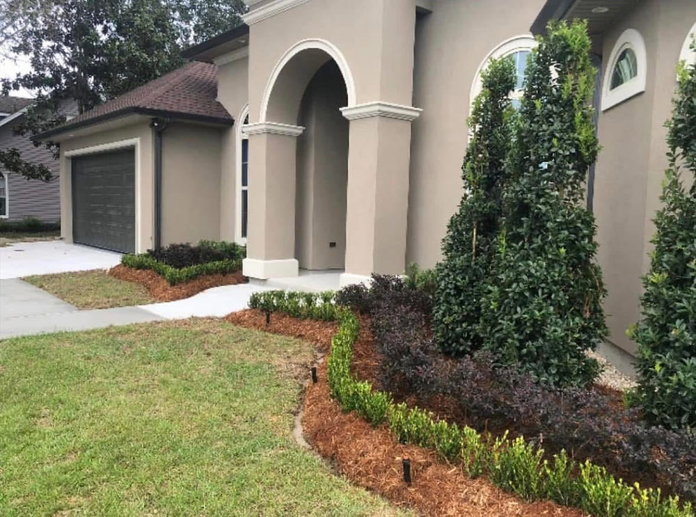 Landscaped yard