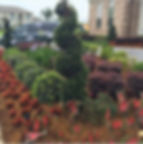 Landscaped yard