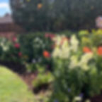 Landscaped yard