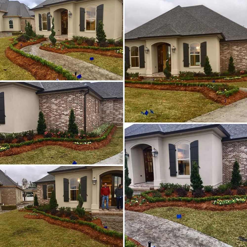Landscaped yard