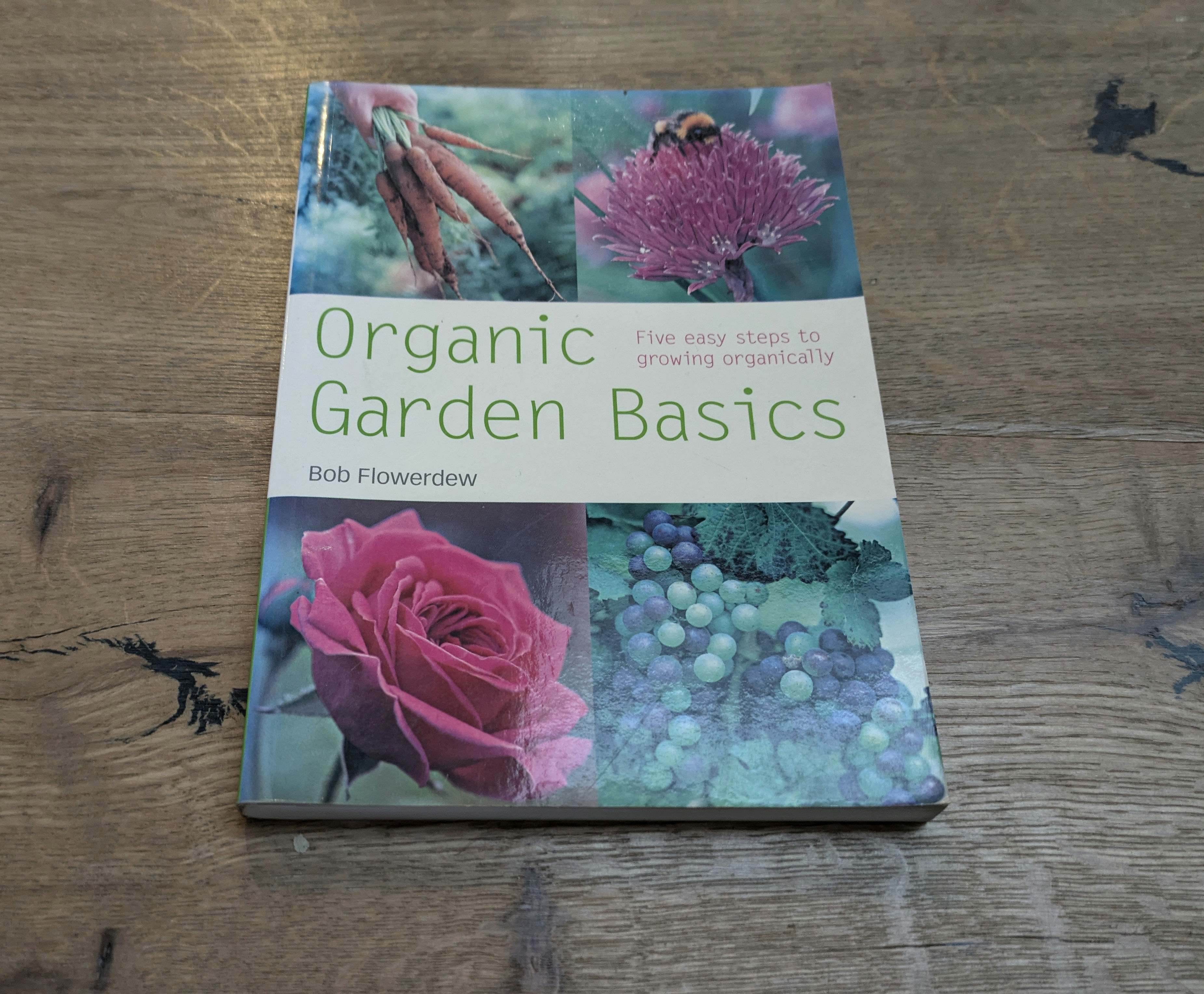 Organic Garden Basics - Hire Me