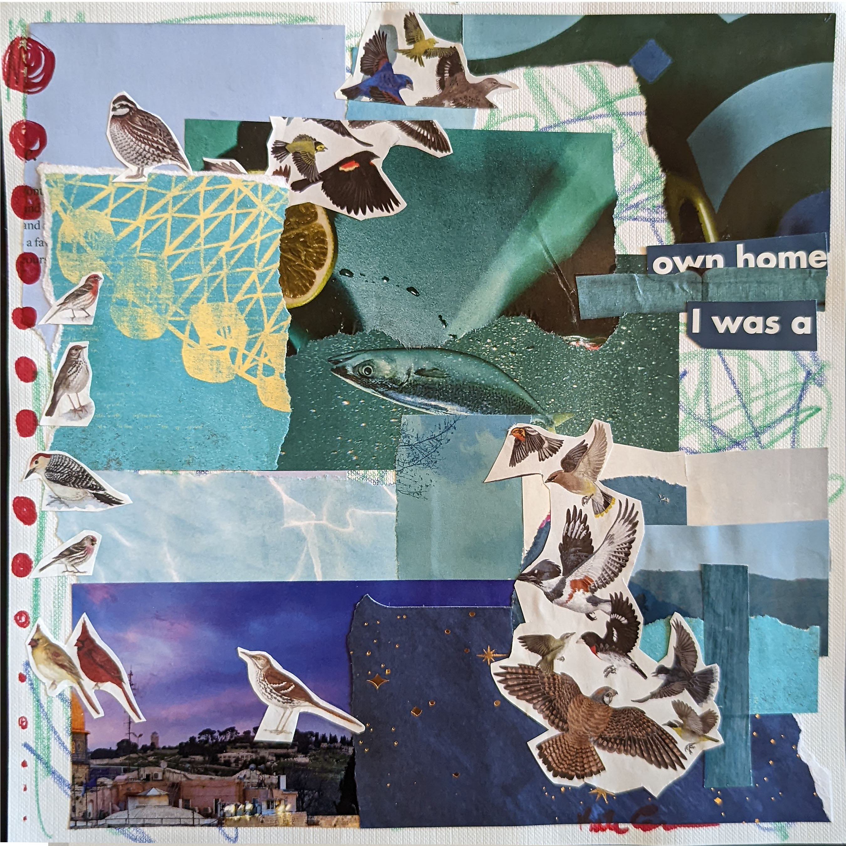 H Letter bird blue.jpg