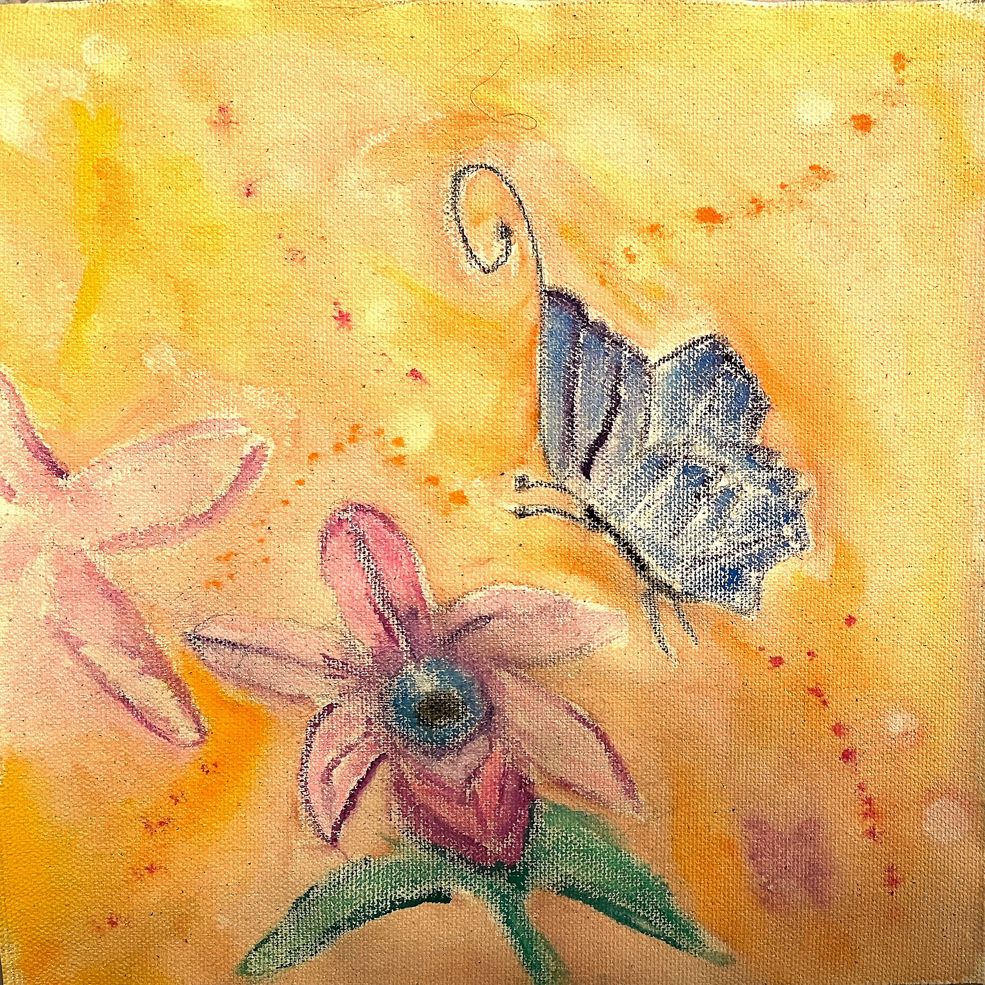 Suzie flower butterflyHR2400.jpg