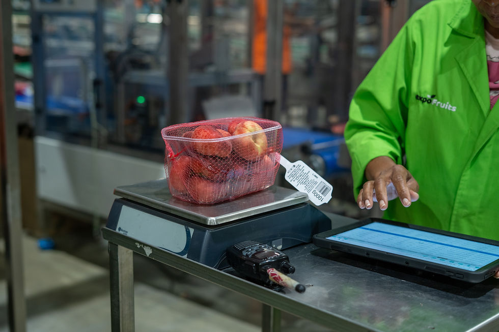 Fresh fruit production and packing line