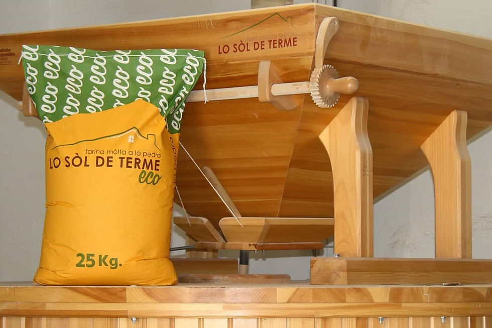 Descobreix la Farina Florence Aurora ECO: el blat perfecte per a pans de llarga fermentació