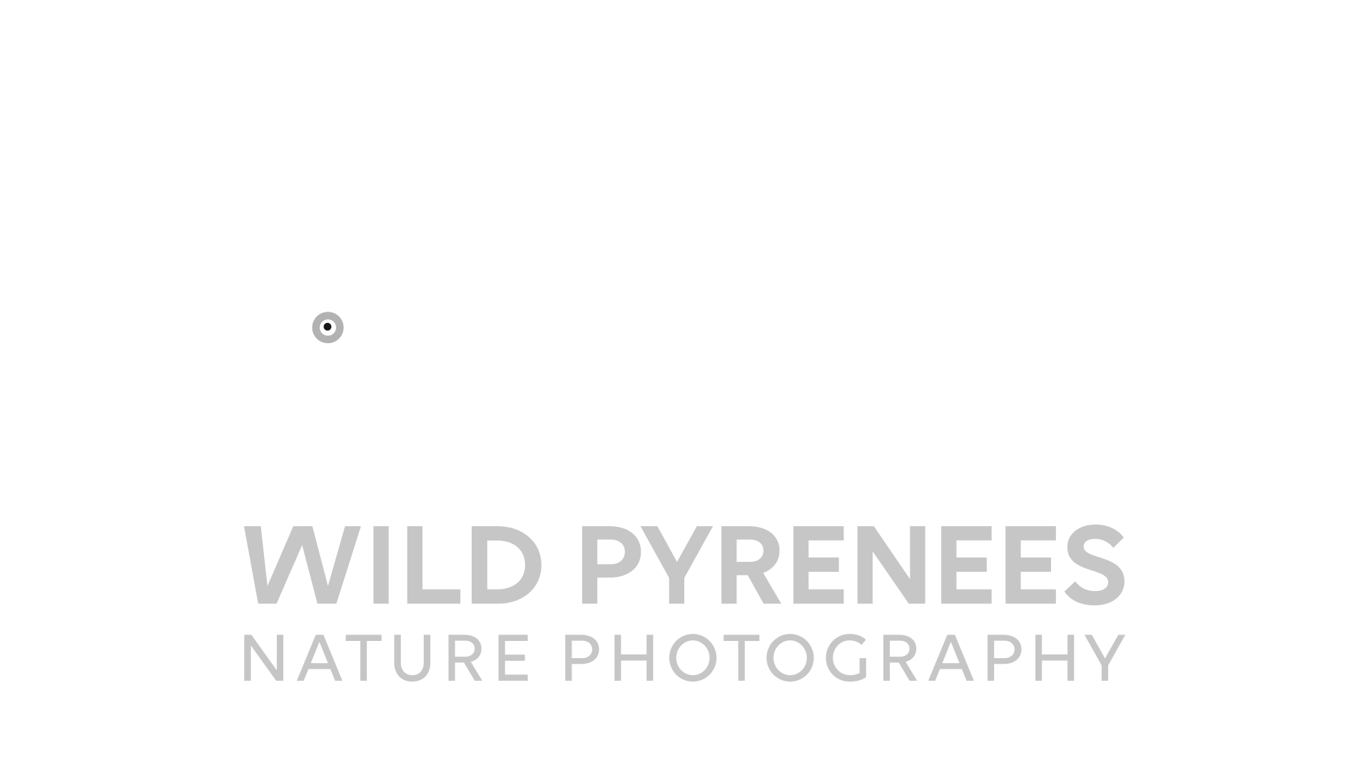 LOGO_BUSEU_BLANCO_GRIS.png