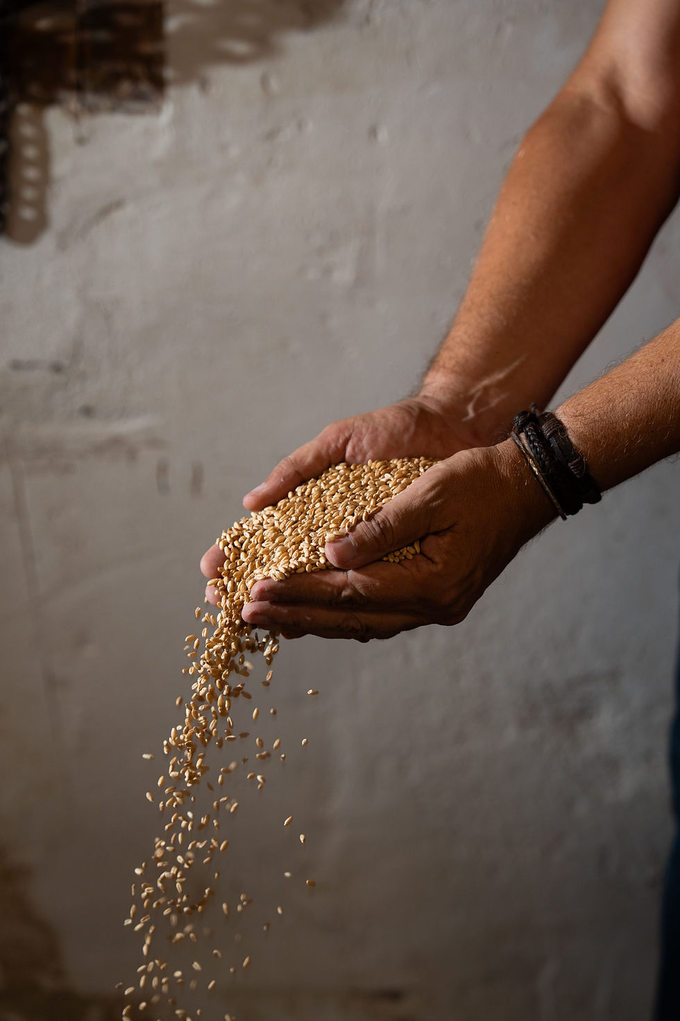 la Segarra-29-min.jpg