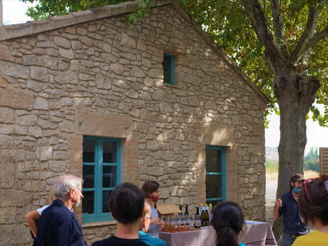 PASEANDO ENTRE MOLINOS