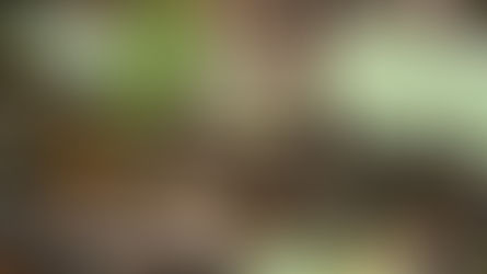 "Butterfly" Bob Marley