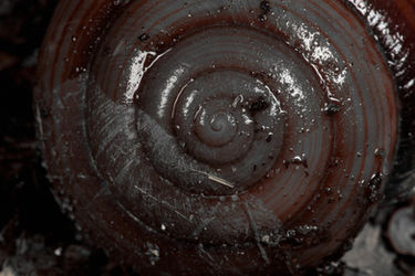 Part of the Colour Isolation Collection