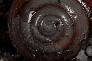 Part of the Colour Isolation Collection