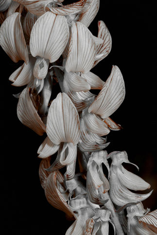 Part of the Colour Isolation Collection