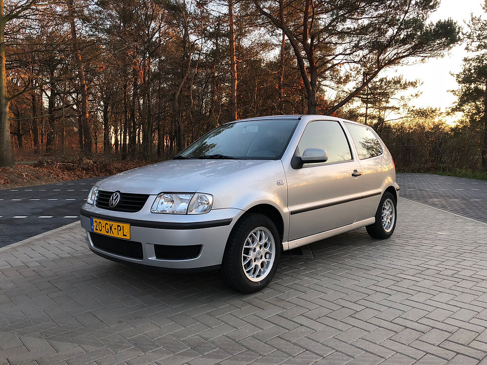 Volkswagen Polo 1.4 Grijs 2001