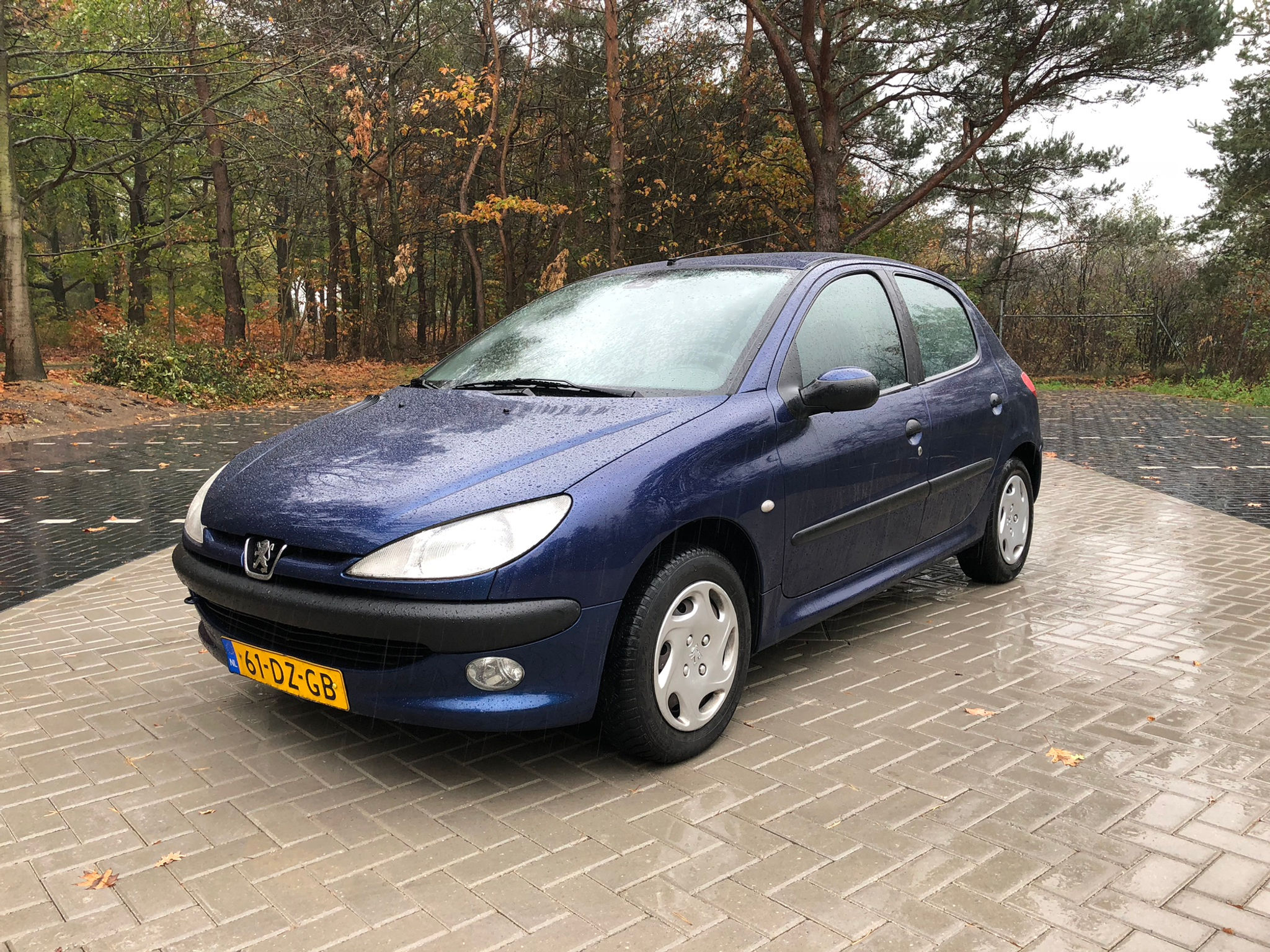 Peugeot 206 1.4 Blauw 2000