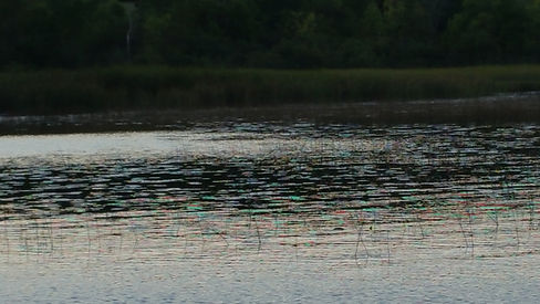 20160910_185539.jpg