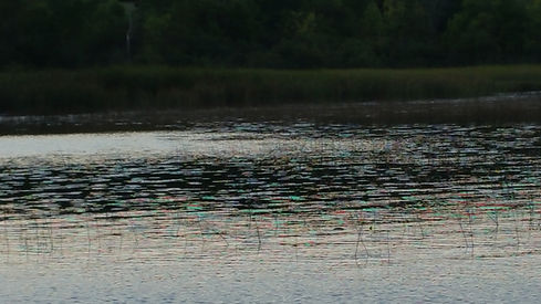 20160910_185539.jpg