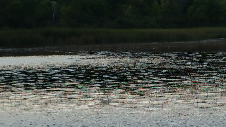20160910_185539.jpg