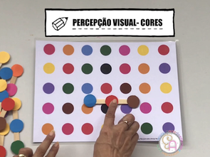 PERCEPÇÃO VISUAL- CORES