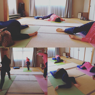 ヨガとワークショップ