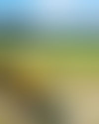 海の見えるカウンセリング