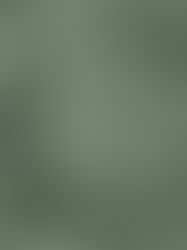 Mythic Creatures: Origin Stories