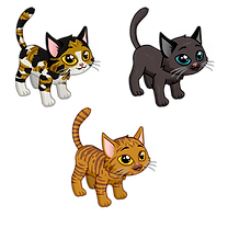 newcatbestiz.png