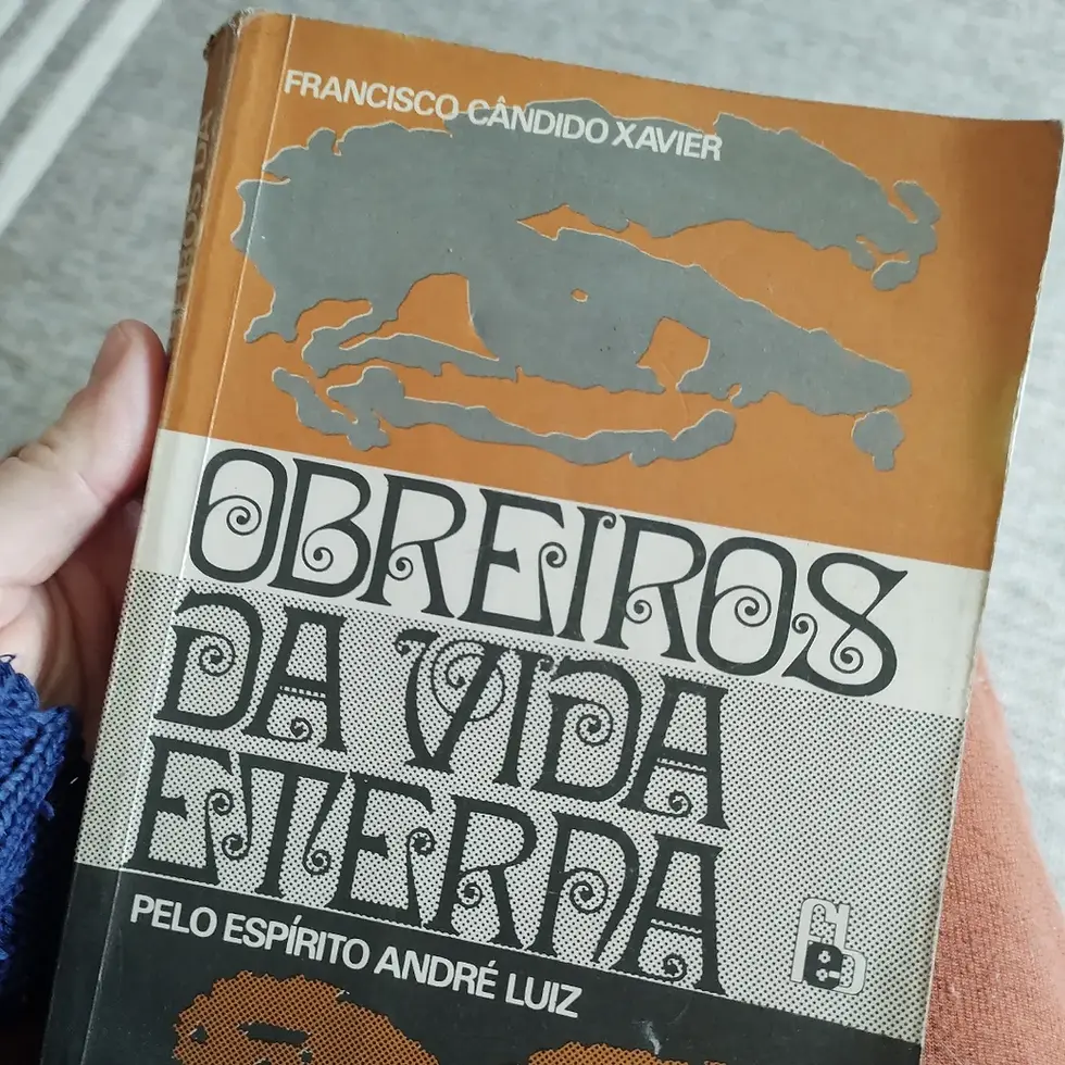 Das coisas estranhas e, talvez,  encantadas que acontecem por aqui