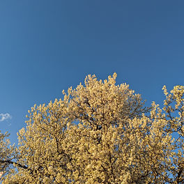 PXL_20240310_224824905.jpg