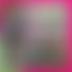 Getting Organized for Back to School