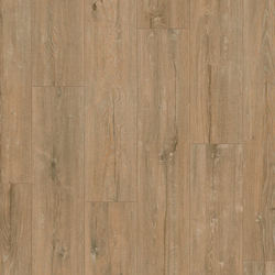 Feature Oak