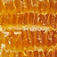 raw honey.jpg