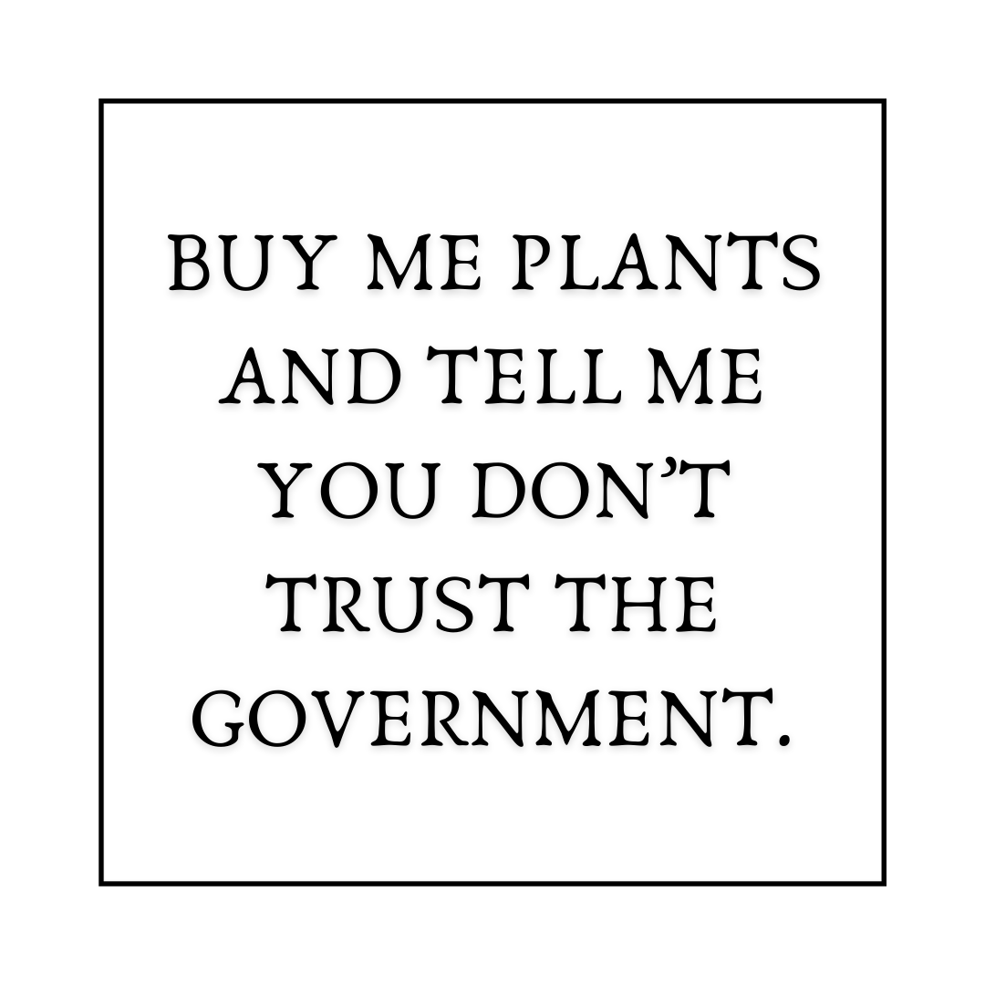 Organic Cotton T-Shirt