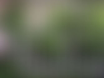 What types of plants can be grown in an indoor garden tower?