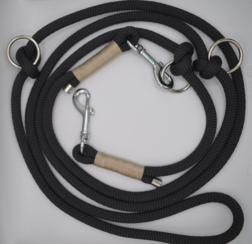 Miniaturbild: Hundeleine 3m Schwarz-Beige
