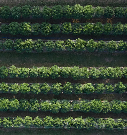220819_whergt_DJI_0329.jpg