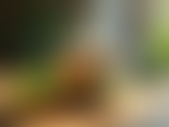 Boost Hair Wellness with Herbs: Nutritional Herbal Teas for Healthier Hair