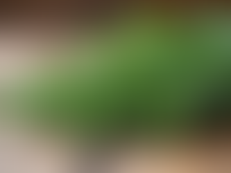 Enhance Your Hair Naturally with Natural Botanical Hair Solutions