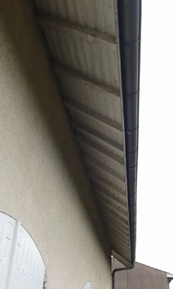 face arrière côté au départ