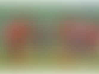 Serie ausgebaut: Arnreit schießt St. Oswald ab