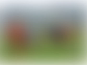 Arnreits Fussballer unterliegen Eidenberg deutlich