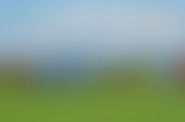 Arnreit fixiert Klassenerhalt